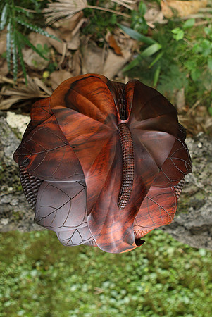 calabash_002