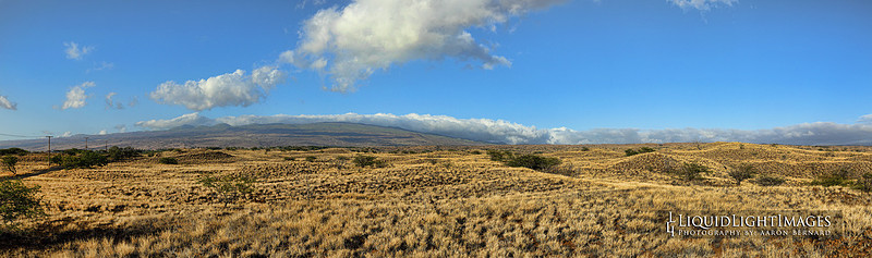 kohala_MTb_1