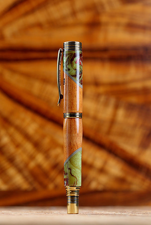 HLT_pens_019
