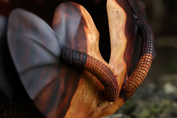 calabash_034