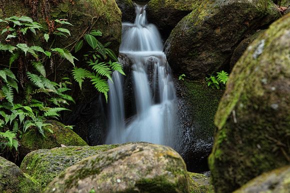 water2015_0005b