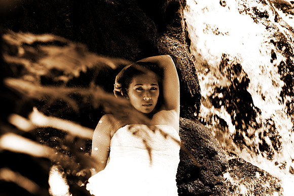 haleck_TTD_160c.jpg