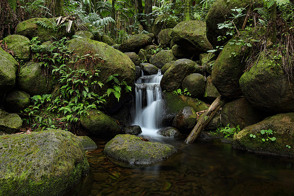 water2015_0004b