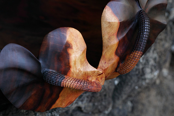 calabash_028