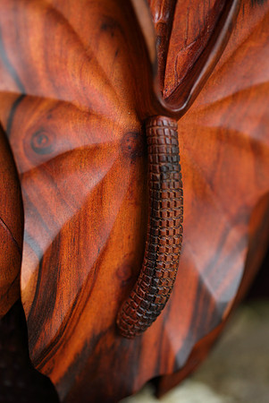 calabash_010