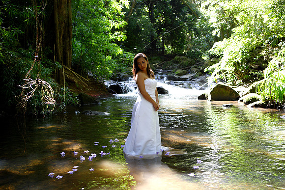 haleck_TTD_112.jpg