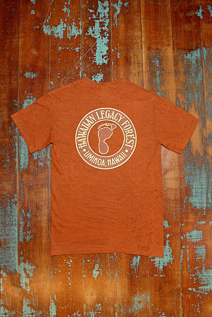 HLT_clothing_013
