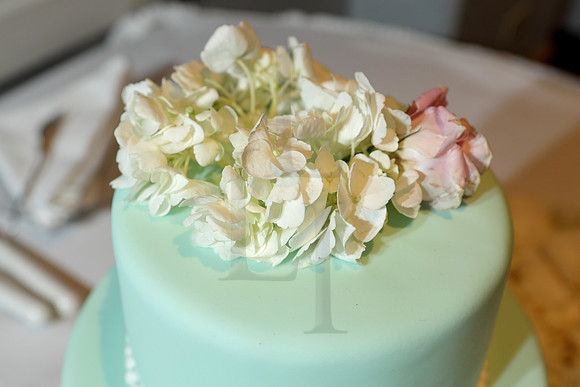 RECCA2016_015