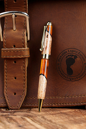 HLT_pens_037