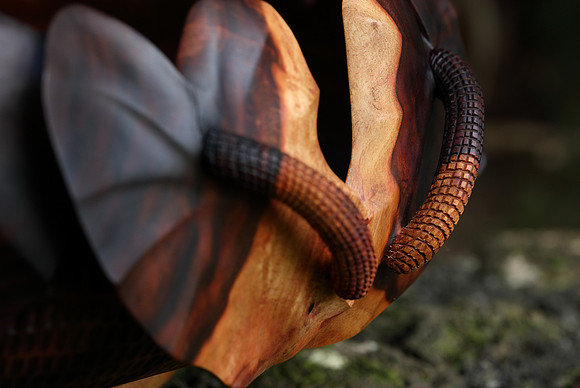 calabash_032