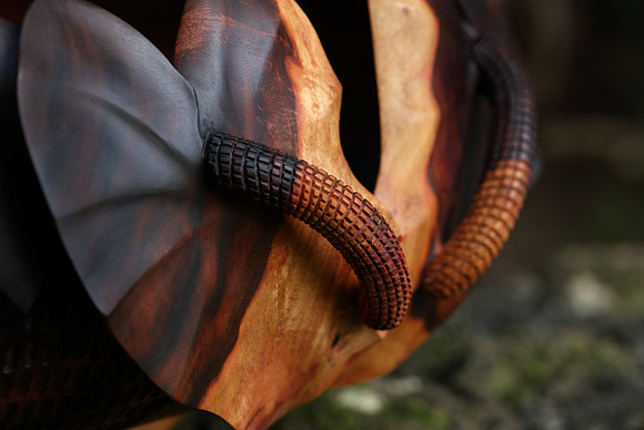 calabash_030