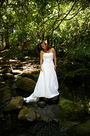 haleck_TTD_013.jpg