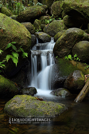 water2015_0002b