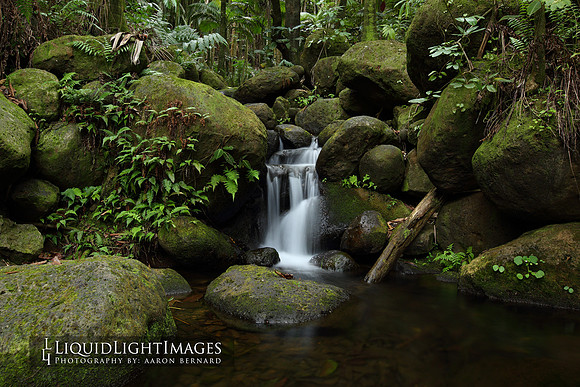 water2015_0004