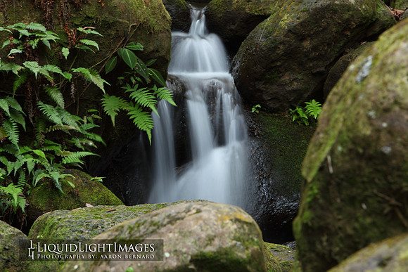 water2015_0005
