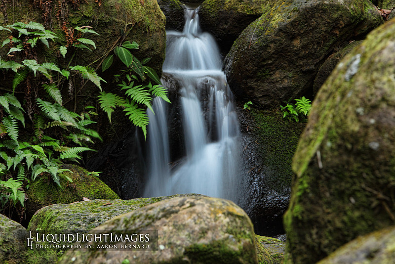 water2015_0005b