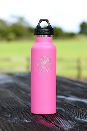 HLT_flask_010
