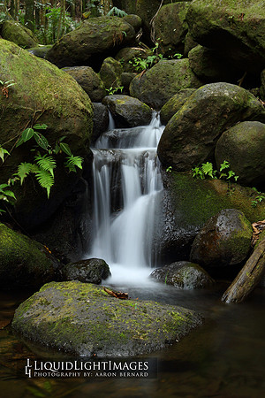 water2015_0002