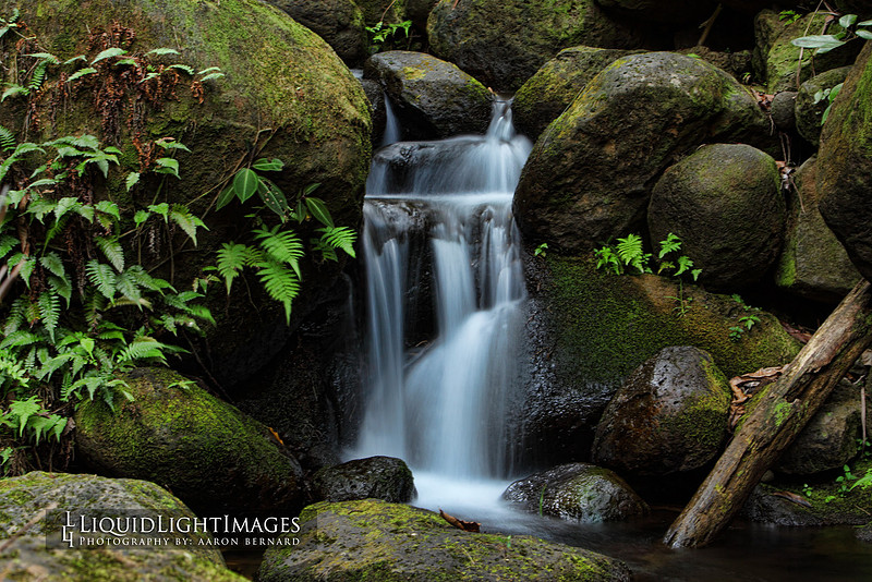 water2015_0006b