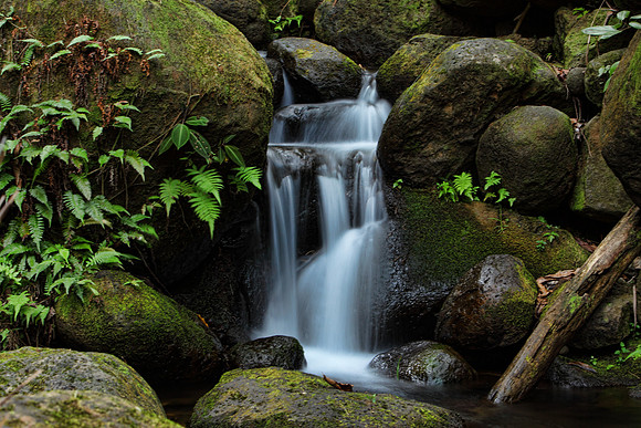 water2015_0006b