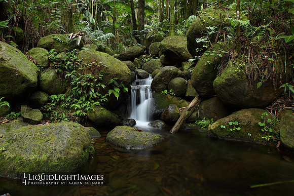 water2015_0003