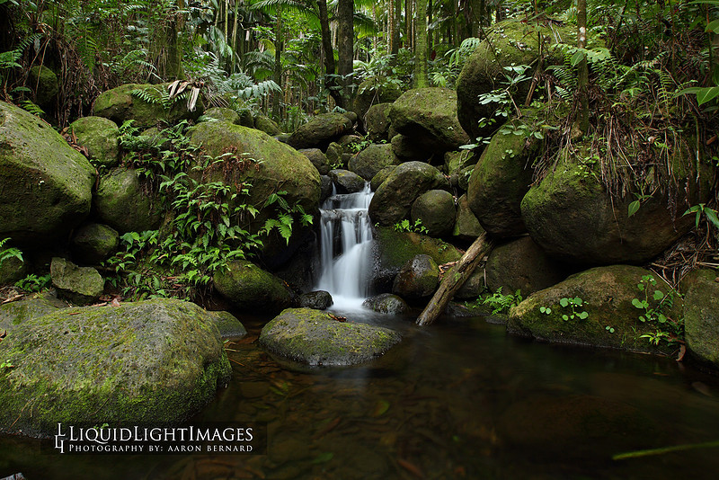water2015_0003
